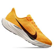Nike Pegasus Plus