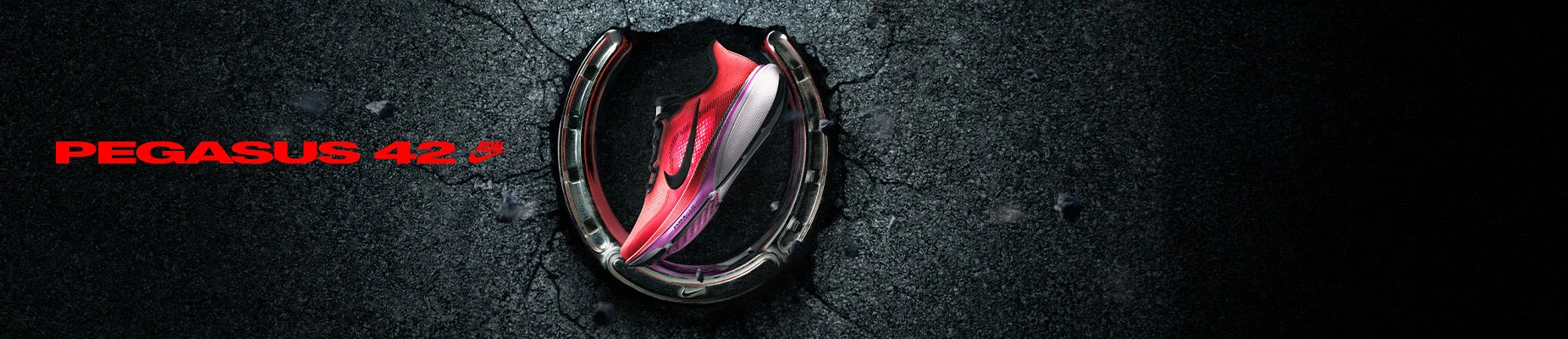 Nike Run Pegasus 42 - Nike shoe graphic