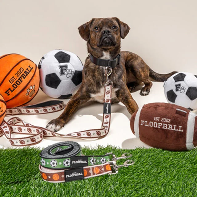 Dog with Floofball sports toys and leashes