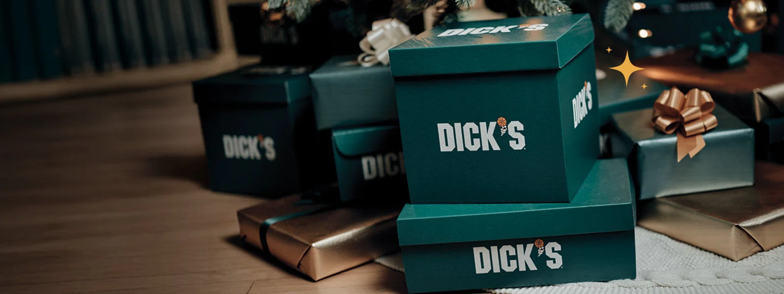 DICK'S shipping boxes.