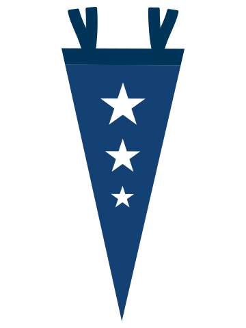 Navy blue pennant flag. 