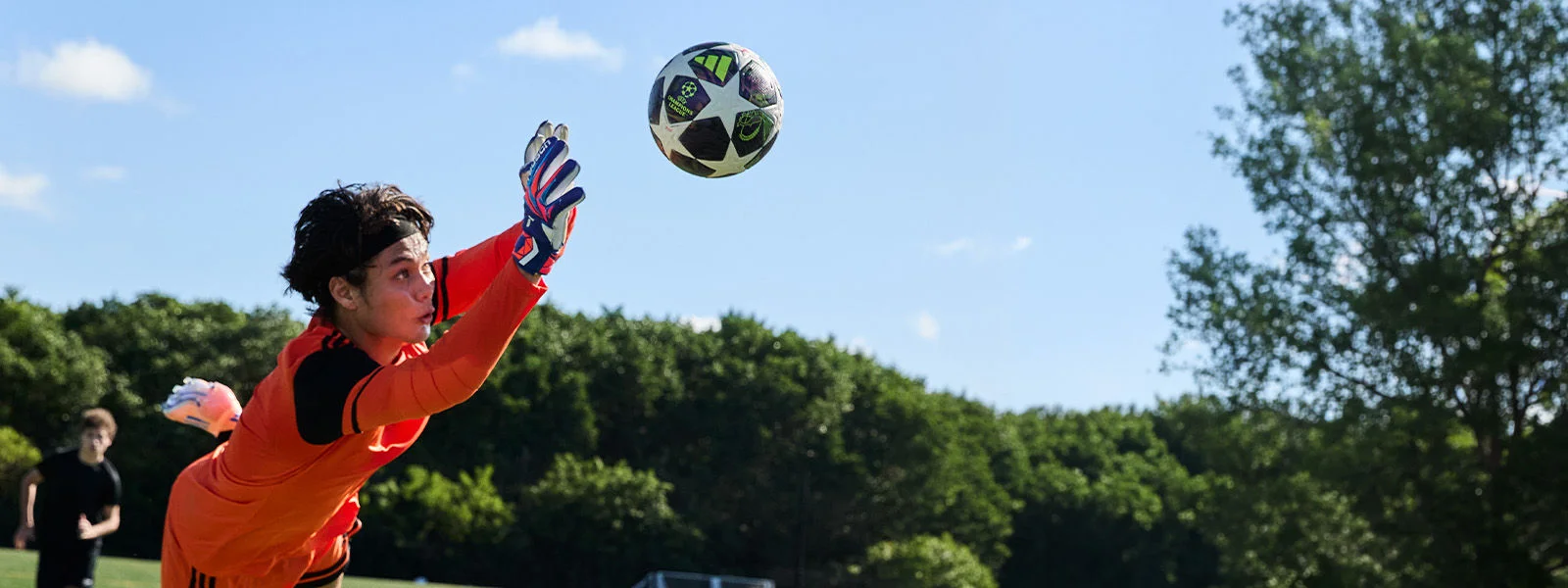 Soccer goalkeeper making a save.