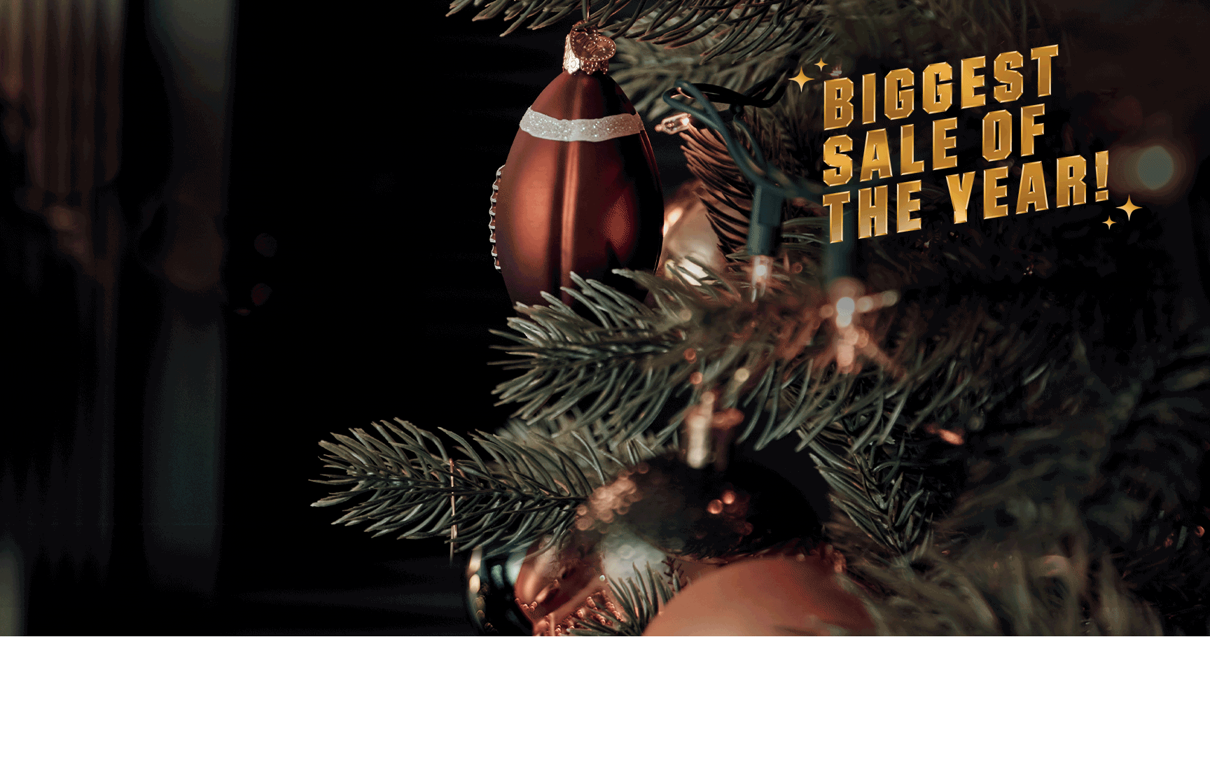 Biggest Sale of the Year!