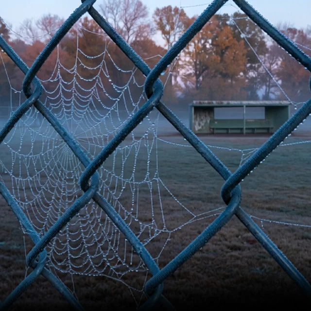 Spiderweb on an old chain link fence in a baseball field. An abandoned dugout can be seen in the background across the field.