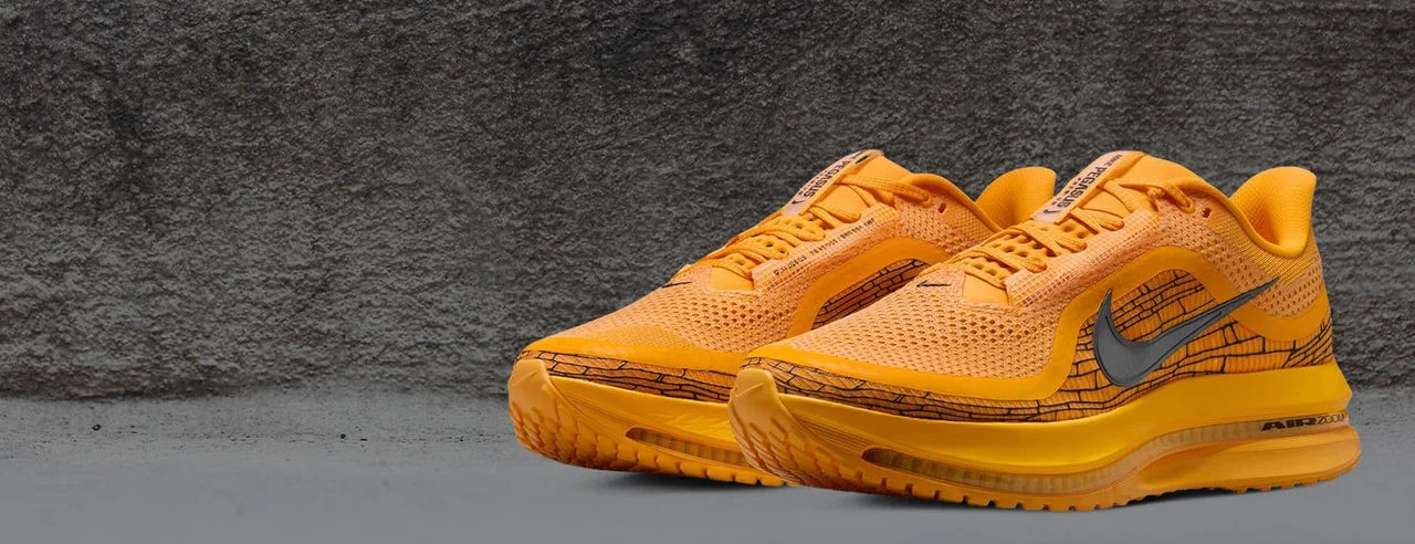 Nike Pegasus Premium shoe.