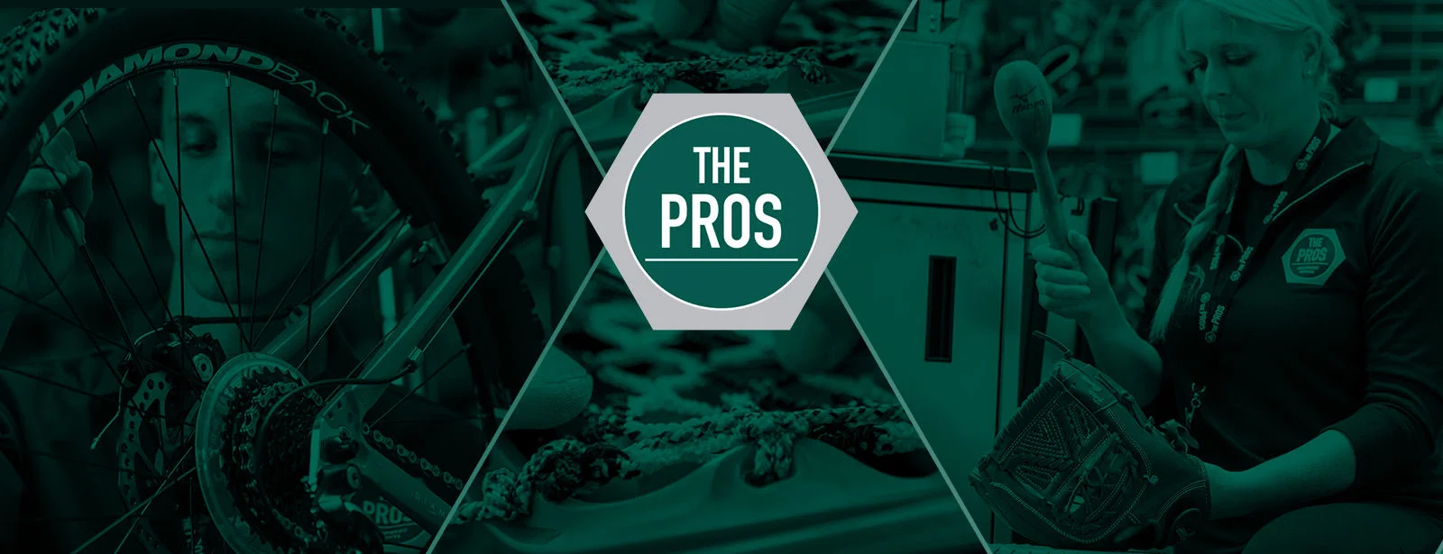 The Pros. Store services.