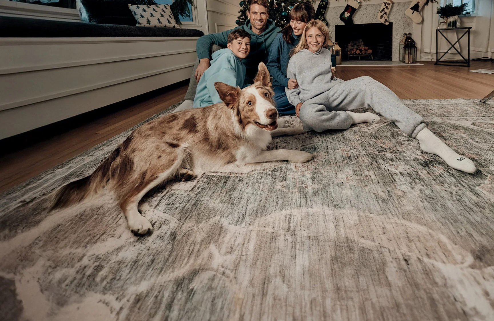 Family on Christmas.