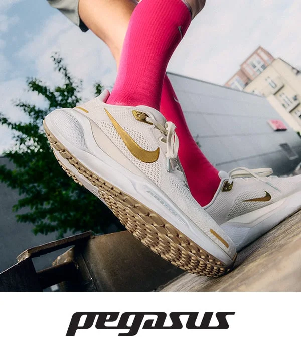 Nike Pegasus running shoe.