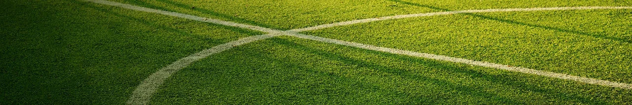 Image of soccer field.