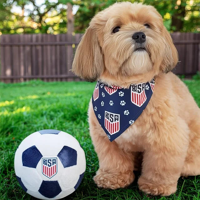 Puppy with bandana next to a soccer ball toy.