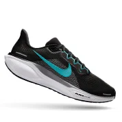 Pegasus 41 shoe.