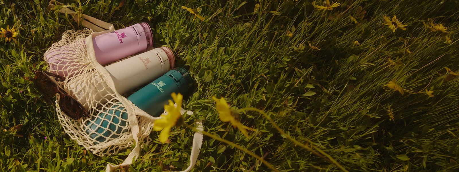 Three tumblers in a field of grass.