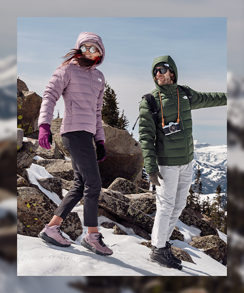 North face hot sale jacket dickssportinggoods