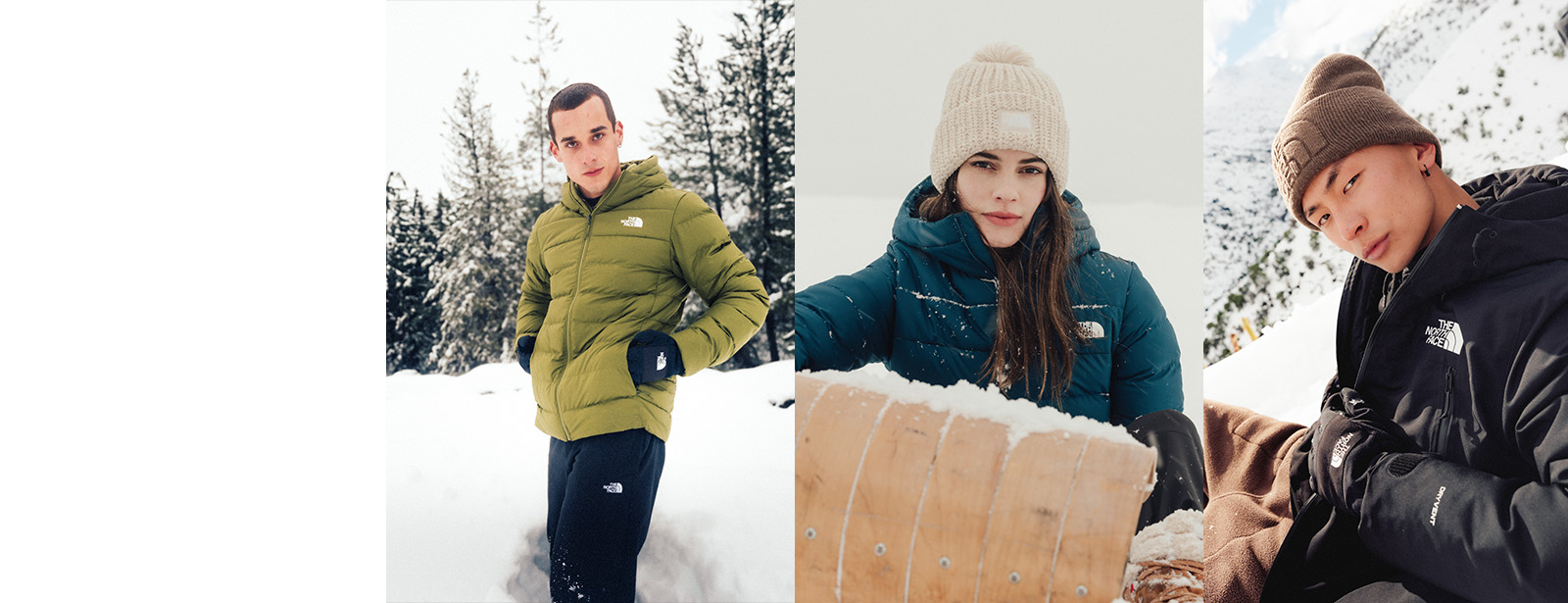 The north face dickssportinggoods 2025