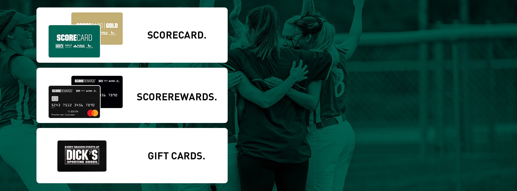 Dick's Sporting Goods