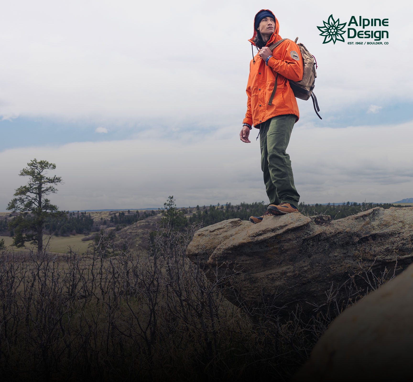 Alpine design backpack cheap