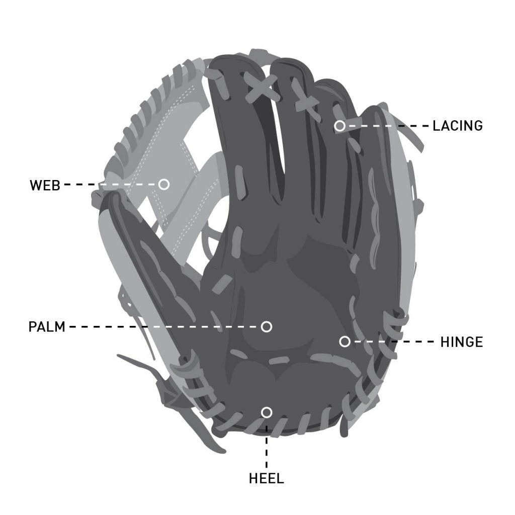 Choosing The Right Baseball Gloves