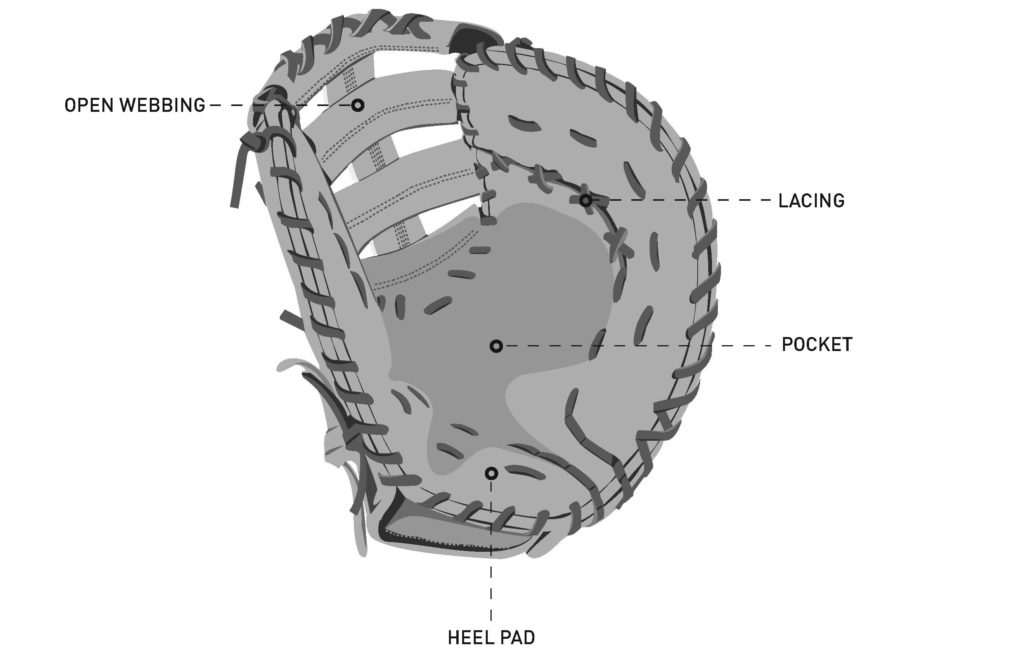 Catcher's Mitt/First Base Mitt