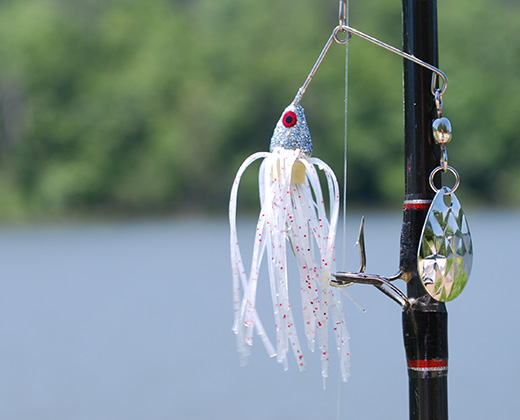 The Five Bass Fishing Lures You Need in Your Tackle Box