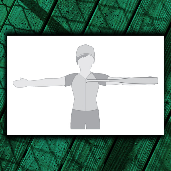 infographic showing the bat at the center of the chest, out to the hand