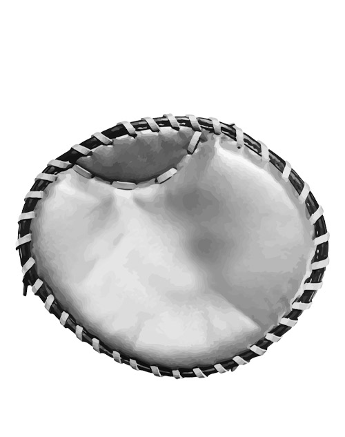 Graphic of training glove