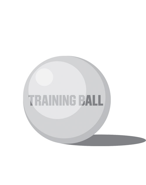 Graphic of training ball