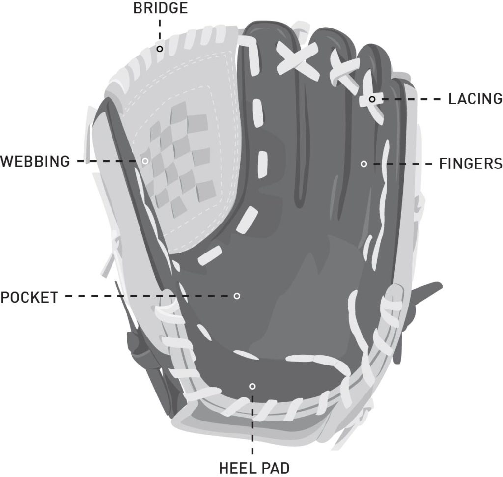 BaseballGlove_Pitch_PT