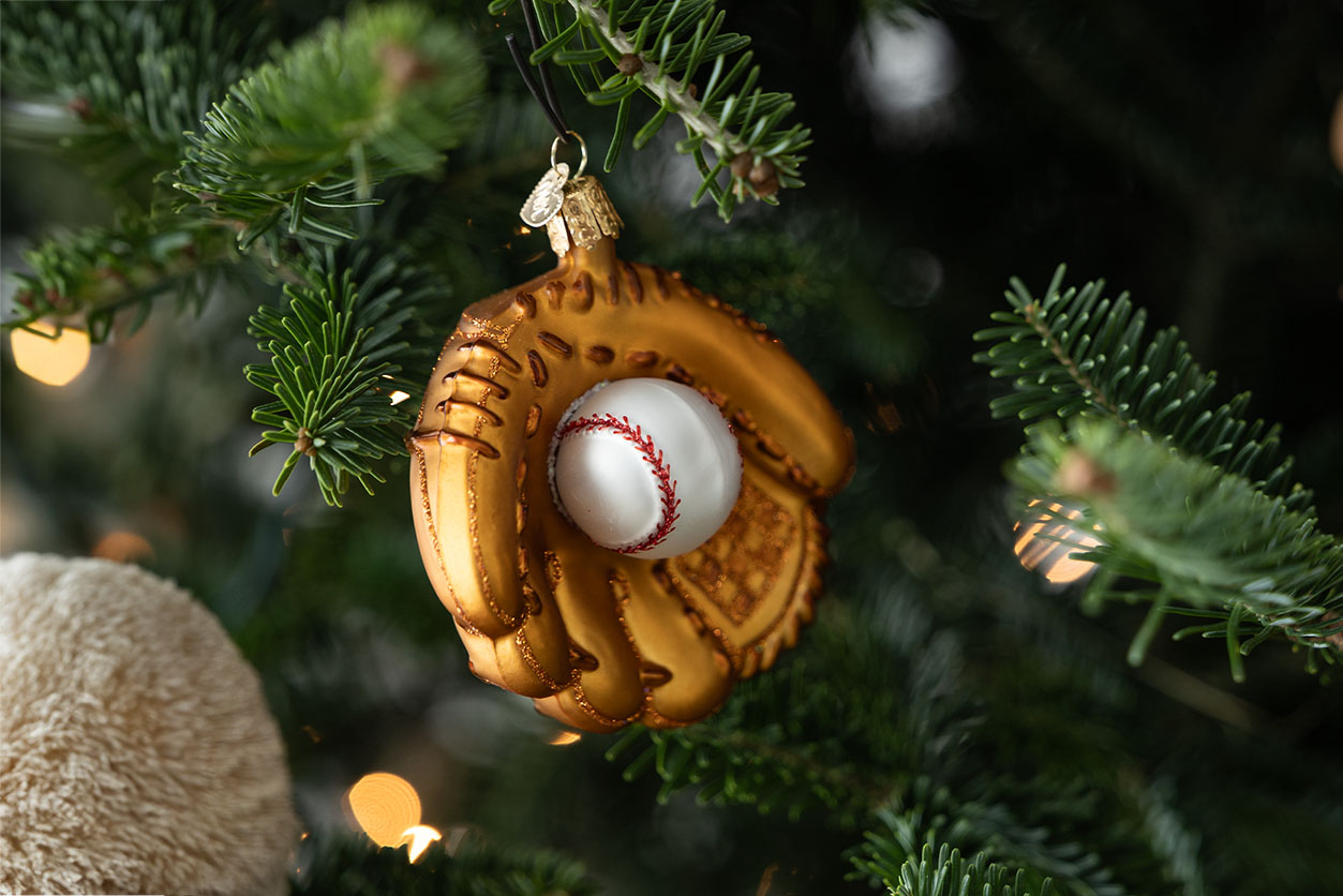 glove in tree