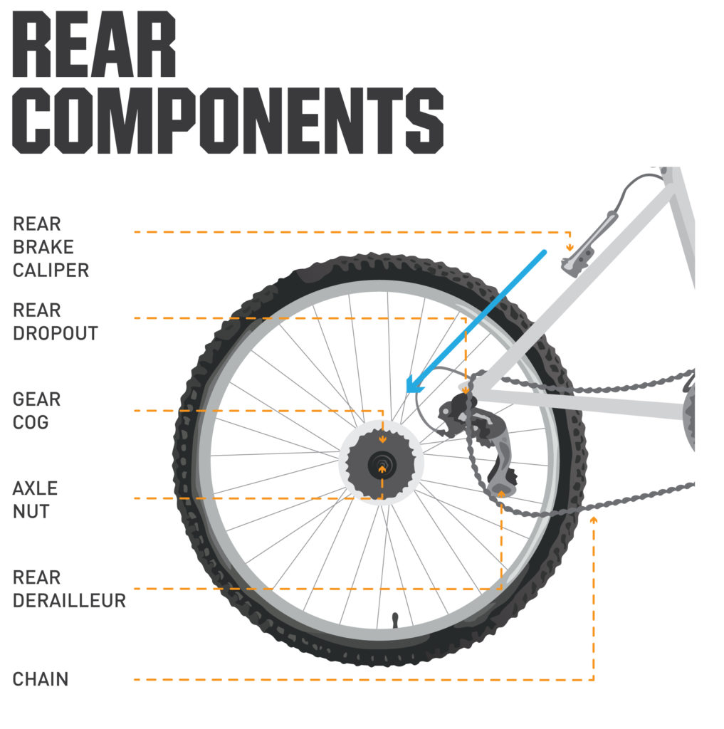 Removing a Bike Wheel with Quick Release Axle