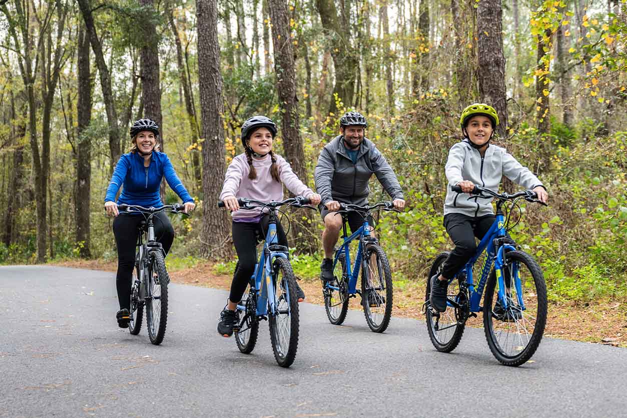 The Best Bikes of 2024