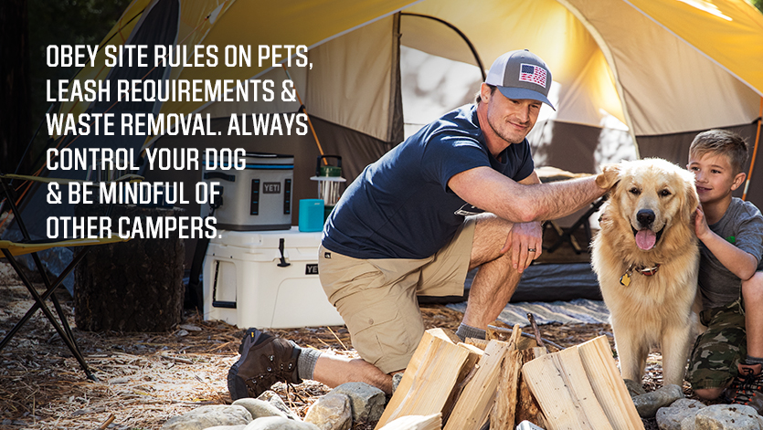 father and son petting dog while sitting around a camp with tents about to build a fire