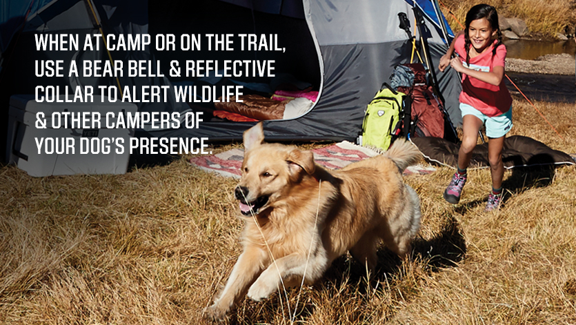 little girl chasing a dog around a tent with words on the image