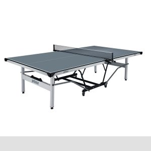 Table Tennis image.