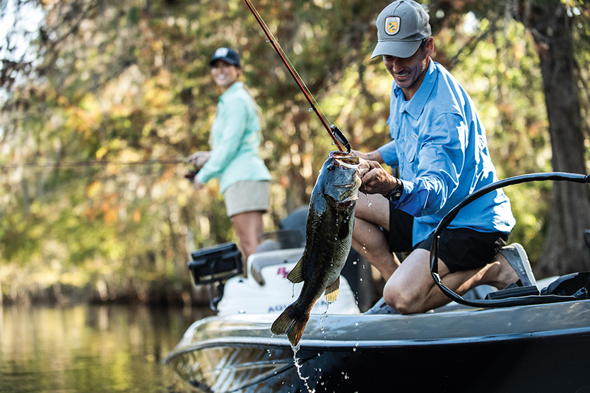Fisherman pulling bass into boat