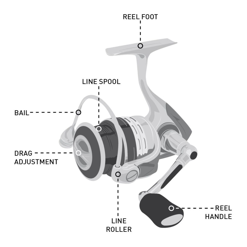 graphic of what is each item on a reel is