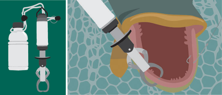 16_ProTips_toothy fish