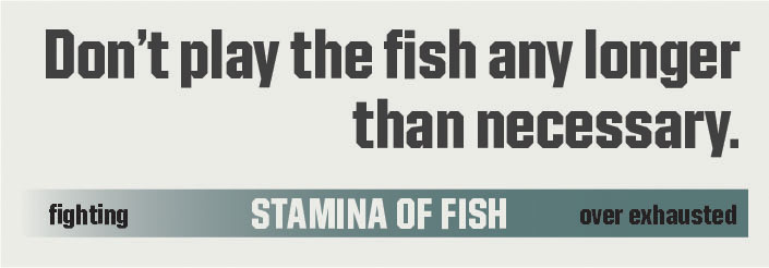 16_ProTips_toothy fish