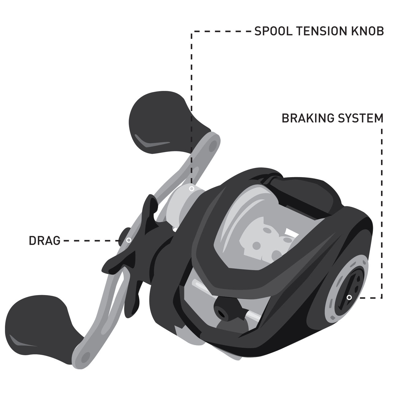 Illustration of a reel. 