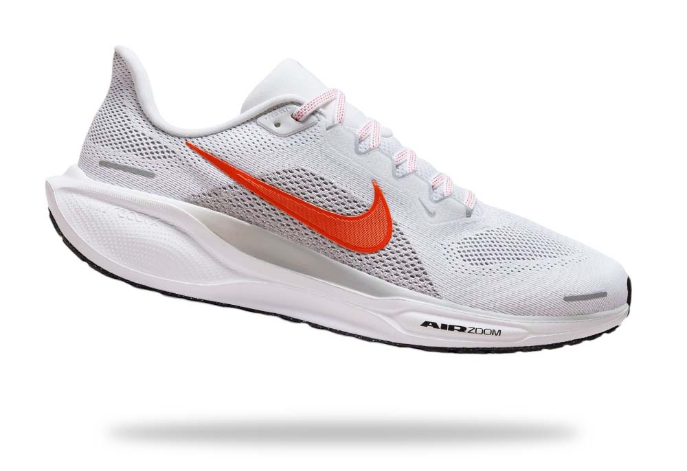 Nike pegasus
