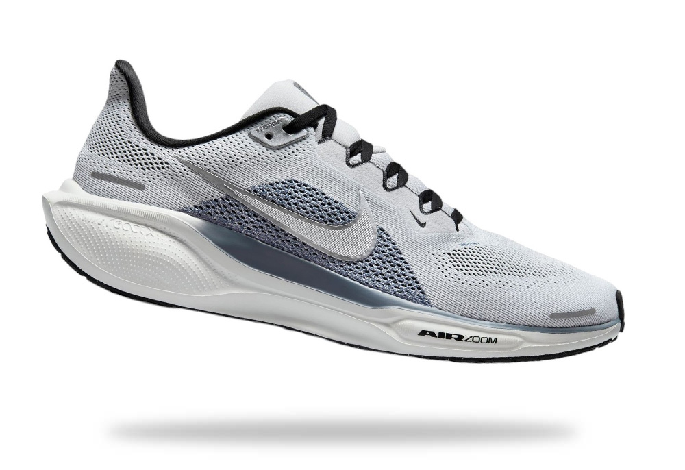 Nike Pegasus shoe