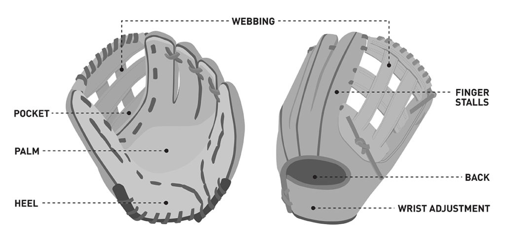 Image of two gloves with the names of each part of the glove