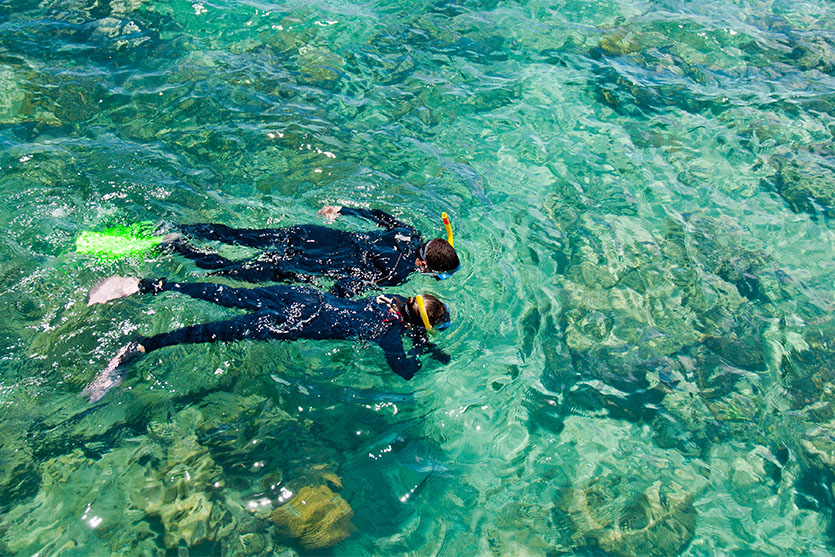 Two people snorkeling in the ocean