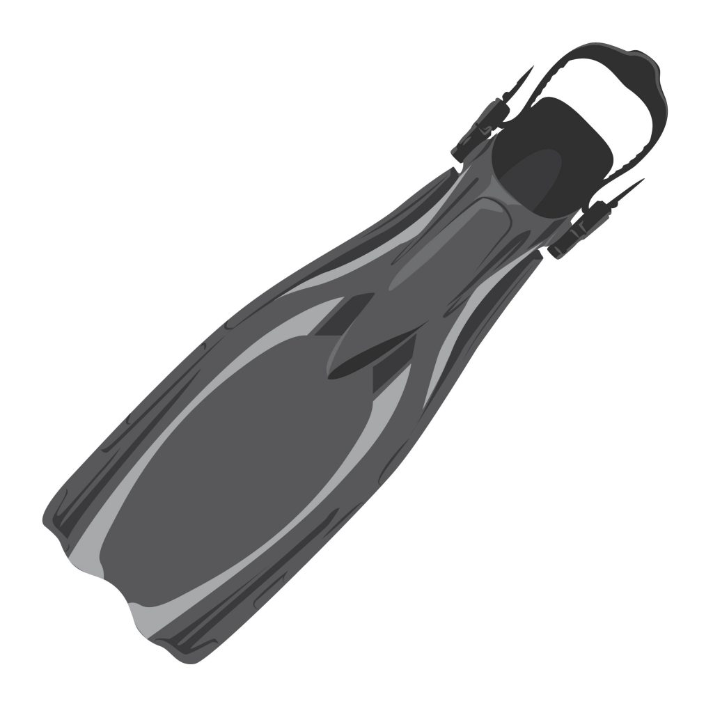 Snorkeling fin illustration