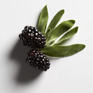 Blackberries and sage
