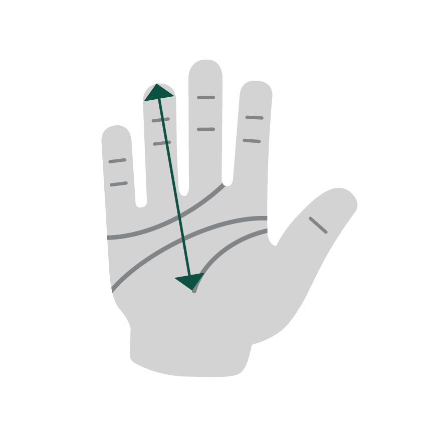 graphic illustration of hand