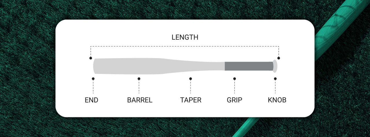bat labeled with each part