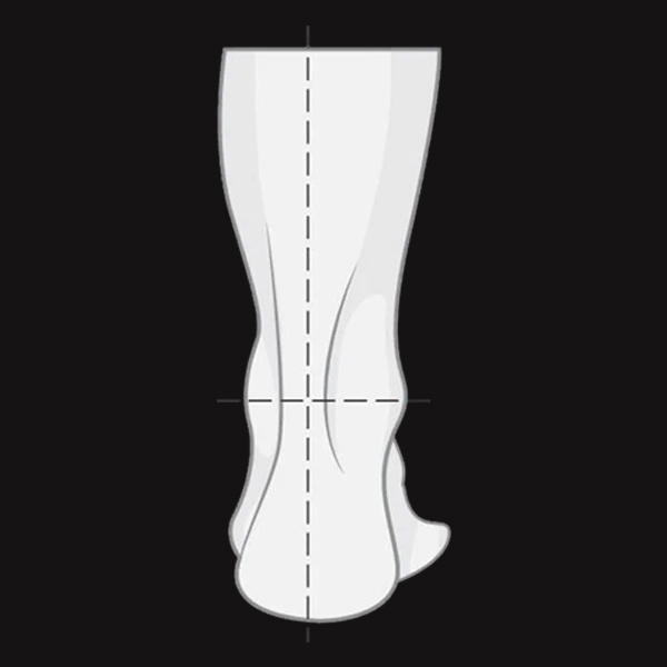 Neutral illustration. 