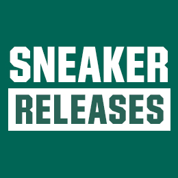 dickssportinggoods com shoes