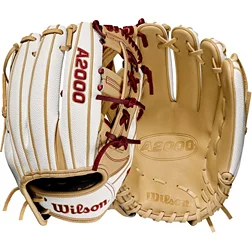 softball accessories